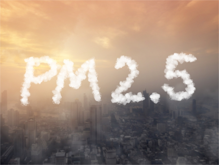 PM2.5.png
