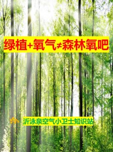 綠植+氧氣 ≠“森林氧吧”，你猜對了嗎